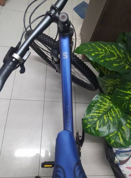 Trek marlin price fixed good condition purp Trek