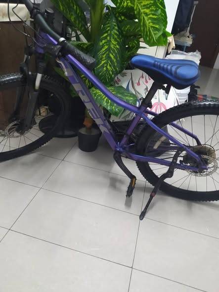 Trek marlin edition Body type Silver alpha alum