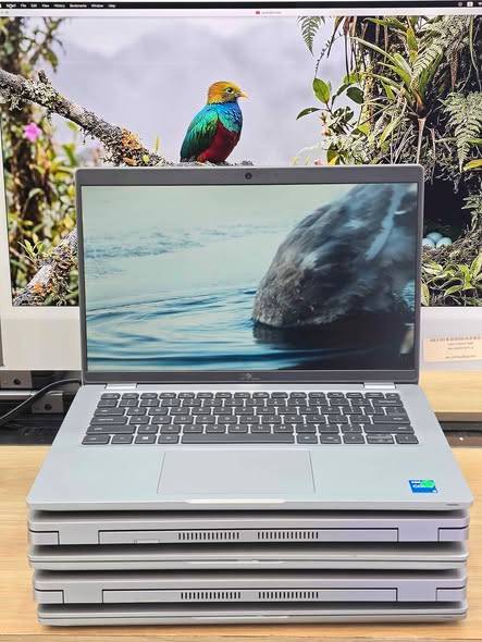 Dell Latitude Core th Generation Wholesale Ret Dell
