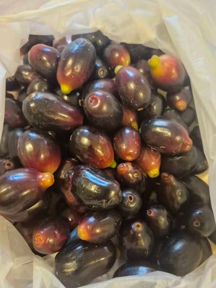 Sweet jamun per kg pick up from buquwah