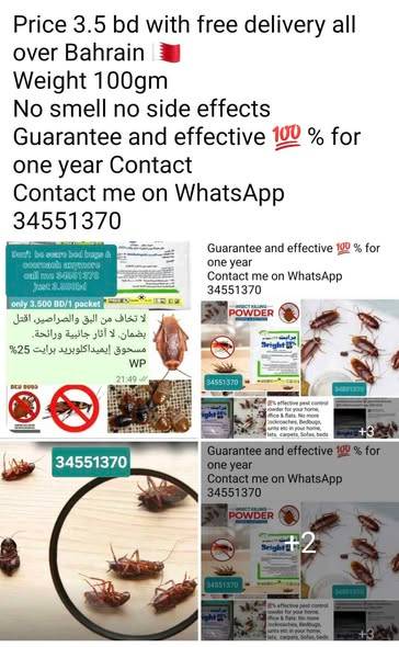 Wp Bright cockroach powder all types of bed